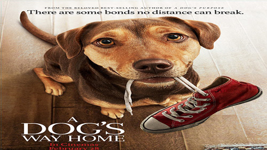 فيلم A Dogs Way Home 2019 مترجم