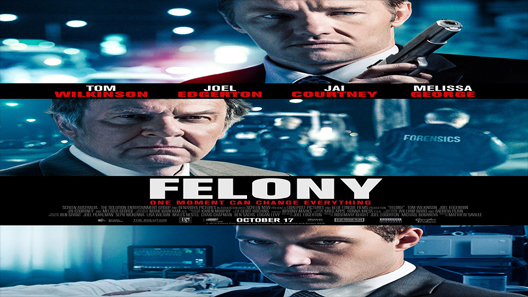 فيلم Felony 2013 مترجم