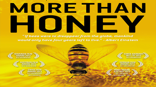 فيلم More Than Honey 2012 مترجم