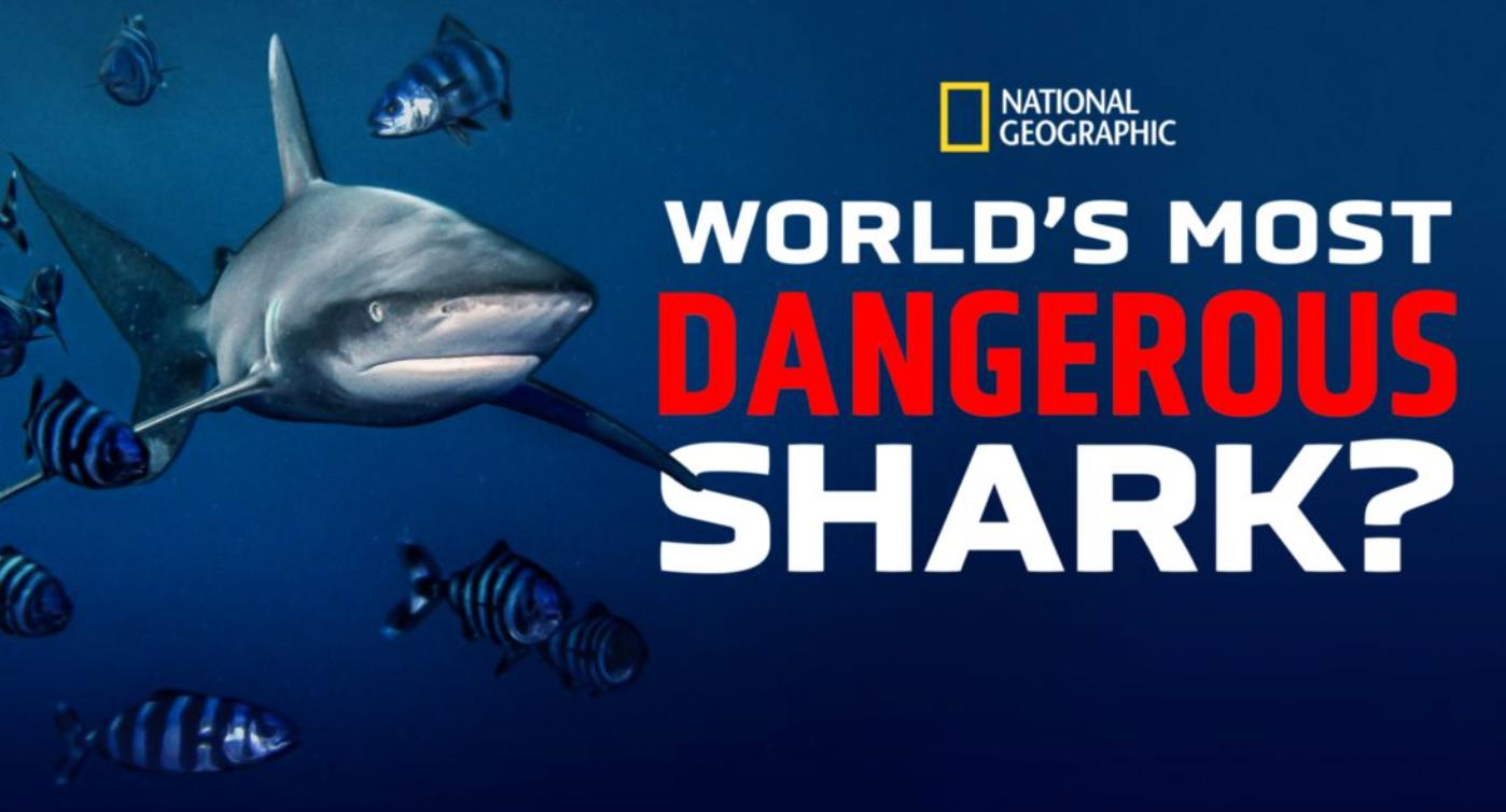 فيلم World’s Biggest Bull Shark 2021 مترجم