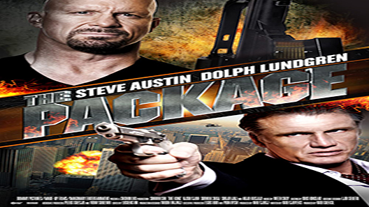 فيلم The Package 2013 مترجم