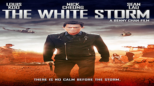فيلم The White Storm 2013 مترجم