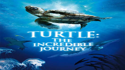 فيلم Turtle The Incredible Journey 2009 مترجم