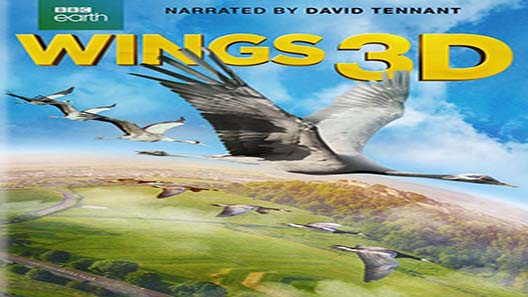 فيلم Wings 2014 مترجم