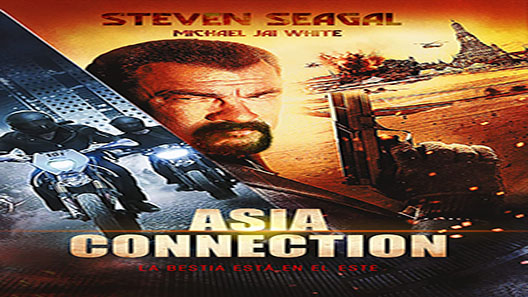 فيلم The Asian Connection 2016 مترجم