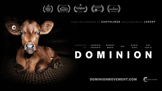 فيلم Dominion 2018 مترجم