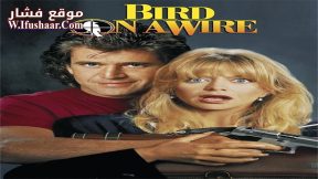 فيلم Bird on a Wire 1990 مترجم