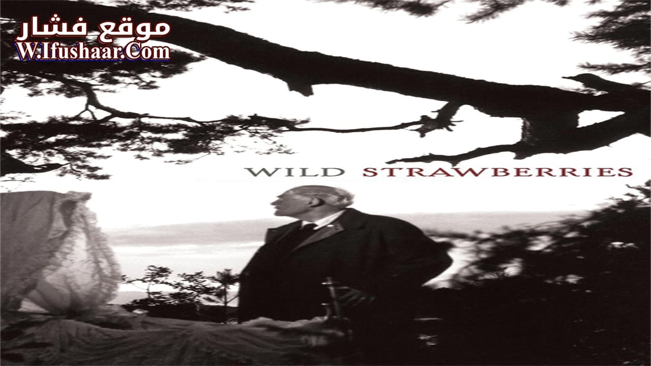 فيلم Wild Strawberries 1957 مترجم