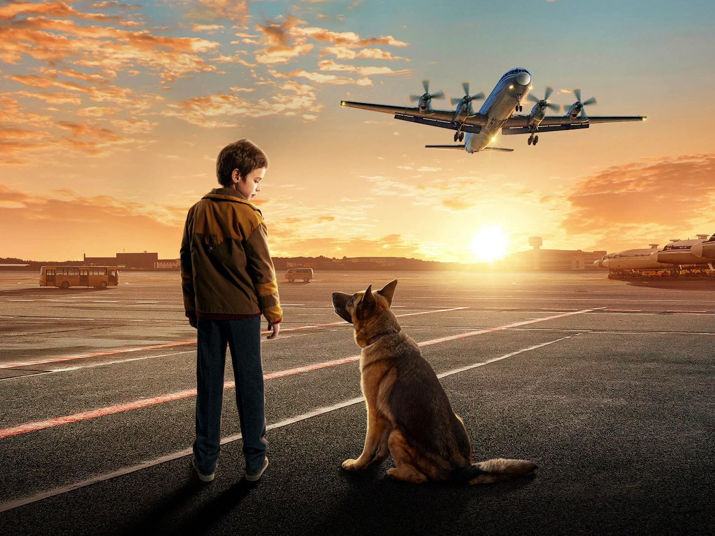 فيلم A Dog Named Palma 2021 مترجم