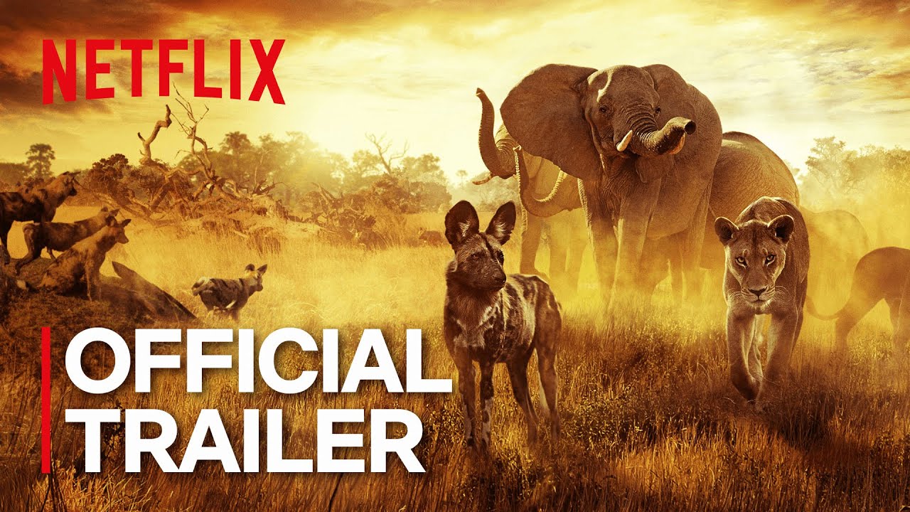 فيلم Surviving Paradise A Family Tale 2022 مترجم