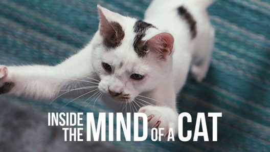 فيلم Inside the Mind of a Cat 2022 مترجم