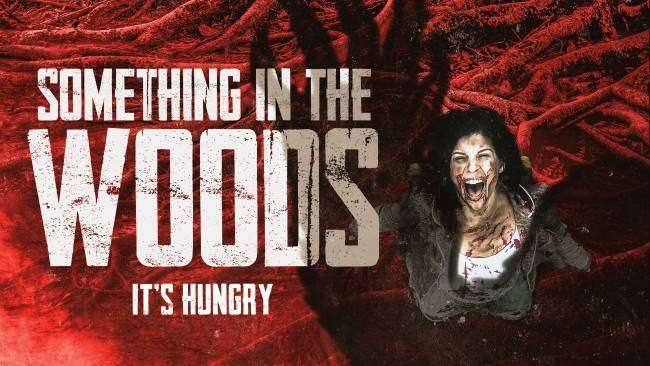 فيلم Something in the Woods 2022 مترجم