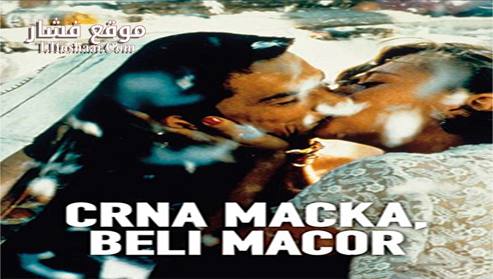 فيلم Black Cat White Cat 1998 مترجم