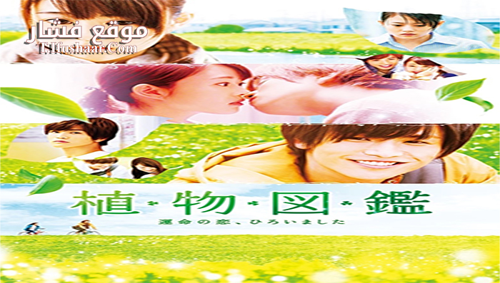فيلم Evergreen Love 2016 مترجم