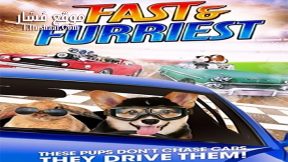 فيلم Fast and Furriest 2017 مترجم