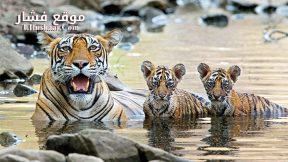 فيلم Growing Up Wild 2016 مترجم
