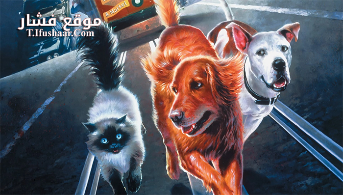 فيلم Homeward Bound II Lost in San Francisco 1996 مترجم