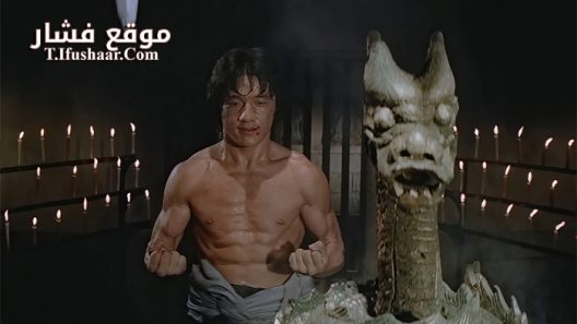 فيلم Shao Lin Mu Ren Xiang 1976 مترجم