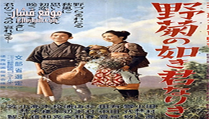 فيلم She Was Like a Wild Chrysanthemum 1955 مترجم