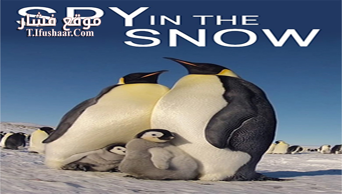 فيلم Spy in the Snow 2018 مترجم
