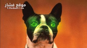فيلم The Convent 2000 مترجم