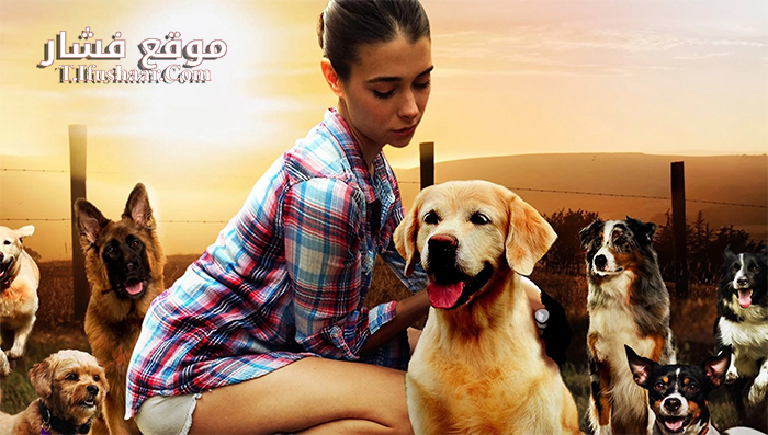 فيلم The Dog Lover 2016 مترجم