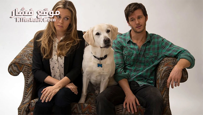 فيلم Who Gets the Dog 2016 مترجم