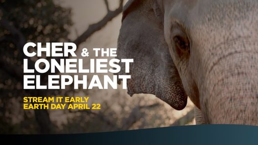 فيلم The Elephant Whisperers 2022 مترجم