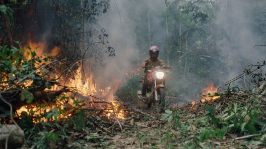 فيلم The Territory 2022 مترجم