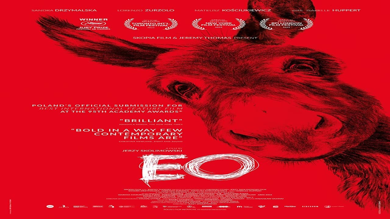 فيلم EO 2022 مترجم