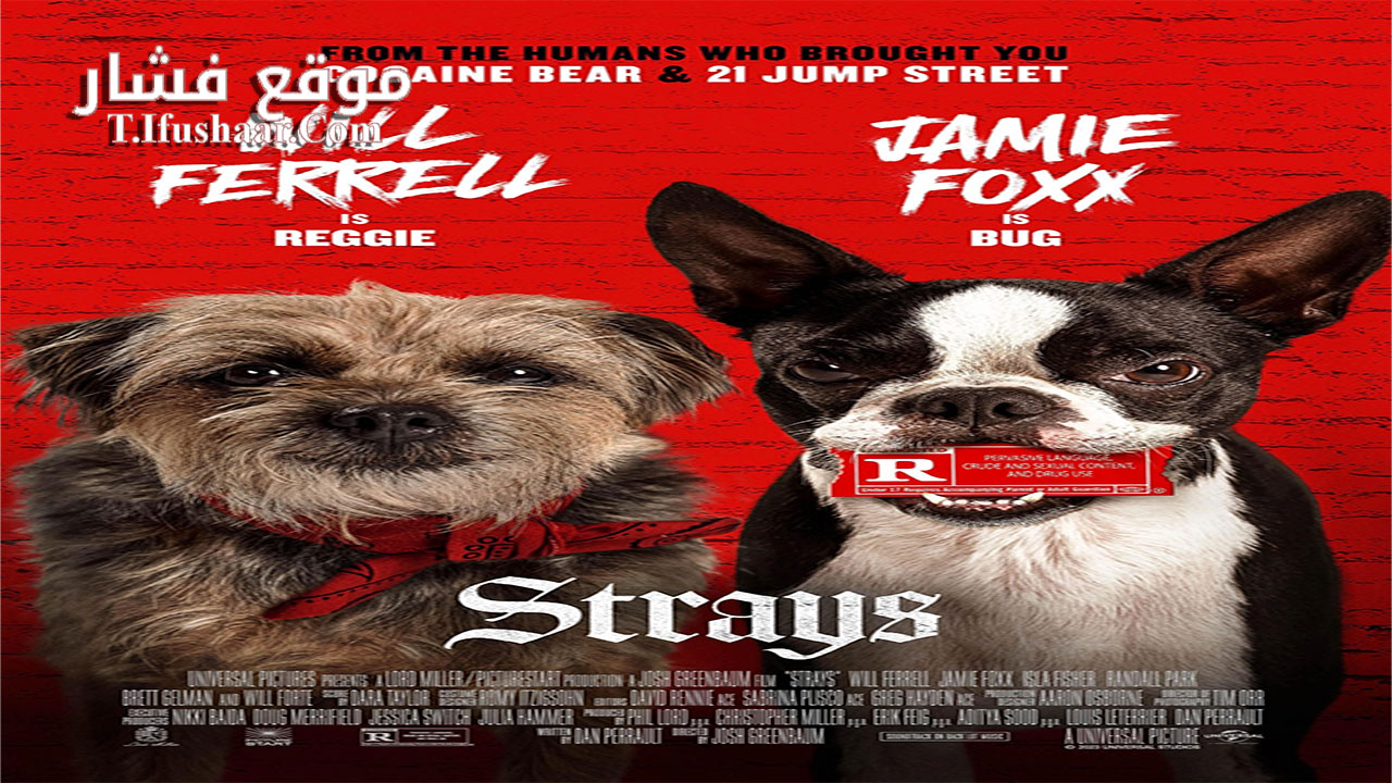 فيلم Strays 2023 مترجم