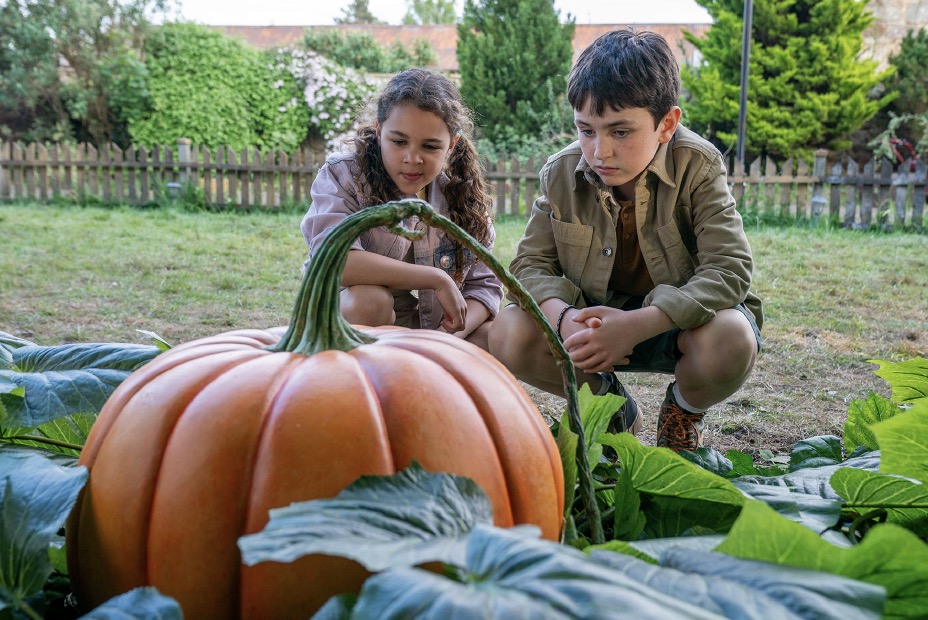 فيلم Grow 2025 مترجم